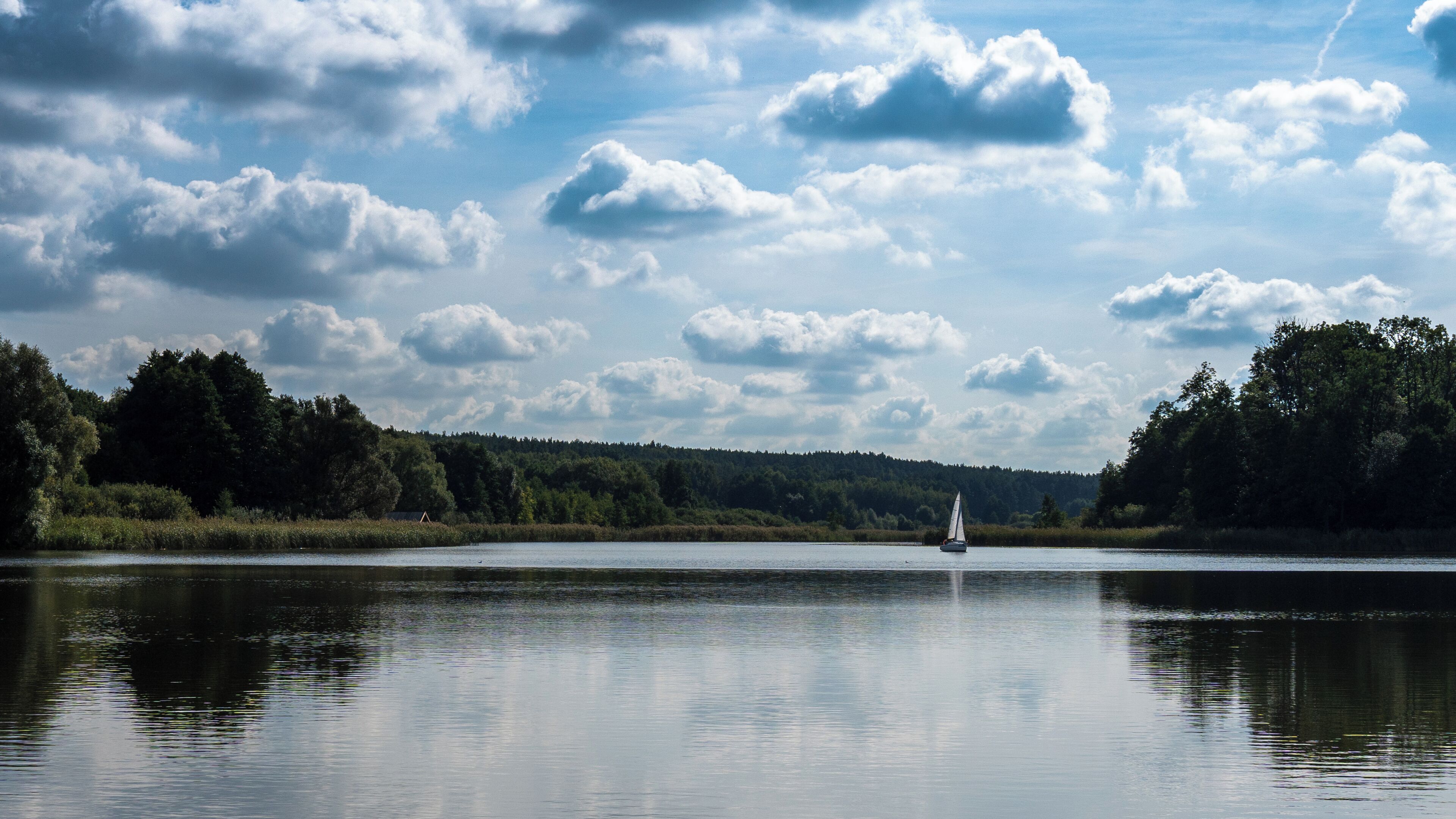 A calm lake with a sailboat, surrounded by dense forest and a partly cloudy sky.