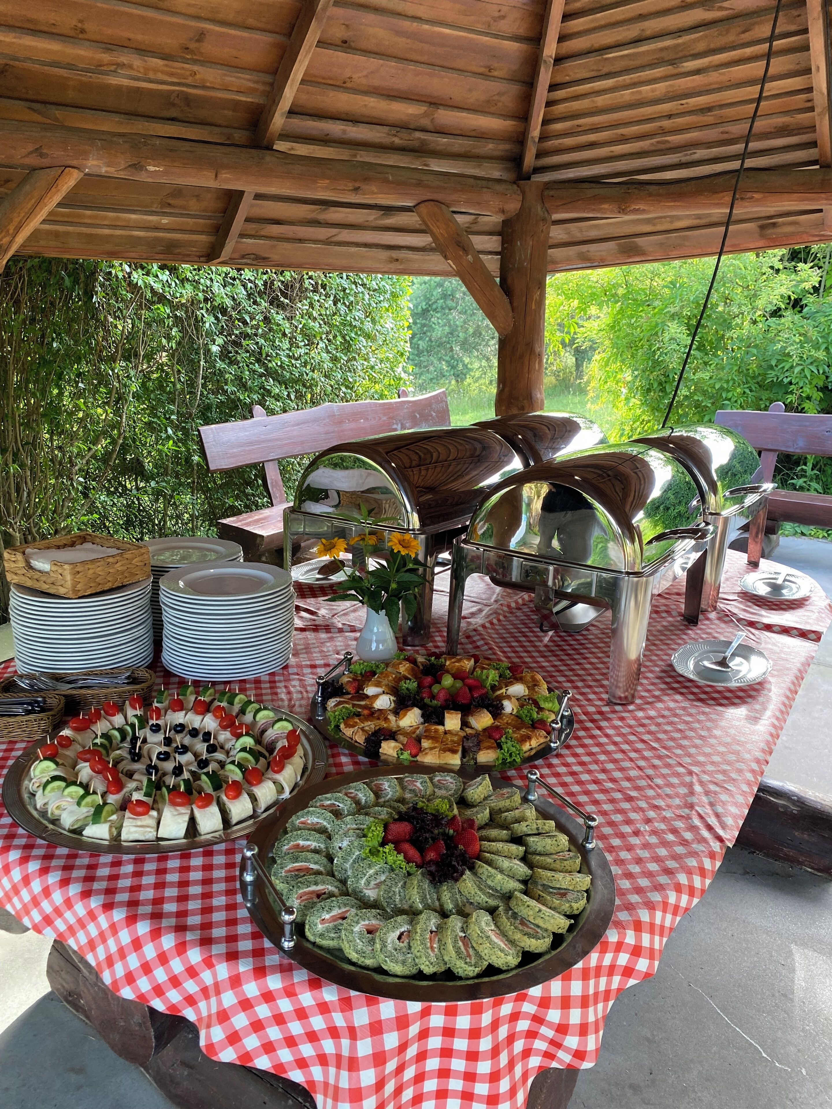 Montaje de bufé al aire libre con diferentes alimentos y un mantel a cuadros.