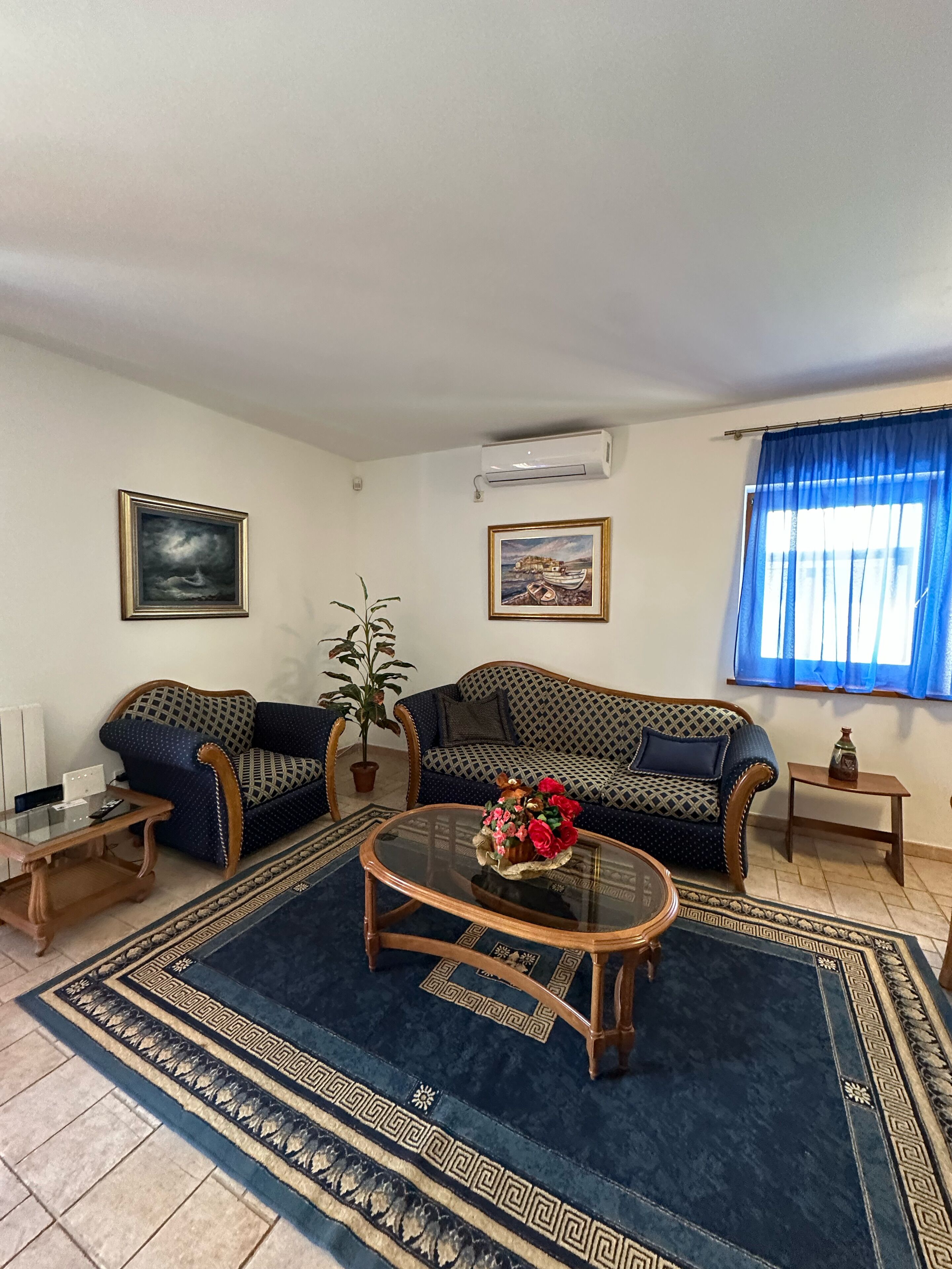 A living room with two sofas, a coffee table, a potted plant, and a rug.