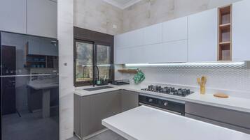 Apartamento, 2 habitaciones, cocina, vistas a la montaña | Cocina privada | Frigorífico grande, horno, placa de cocina y hervidor eléctrico