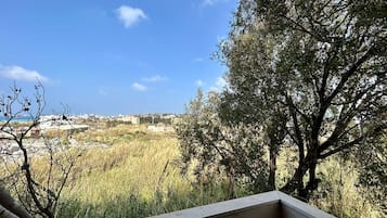 Apartment, 2 Bedrooms, Kitchen, Mountain View | Balcony