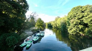 Ein ruhiger Fluss mit mehreren grünen Booten, die am Ufer festgemacht sind, umgeben von üppiger Vegetation.