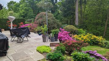 Casa | Terraza o patio