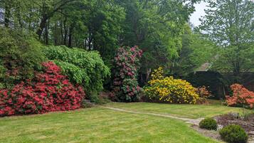 Ferienhaus | Blick auf den Garten