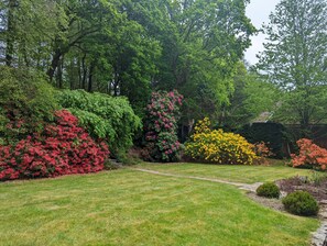 Ferienhaus | Blick auf den Garten