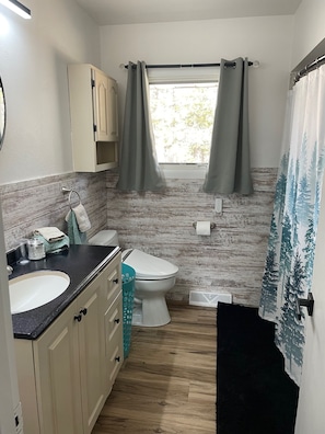Hair dryer, bidet, towels, soap