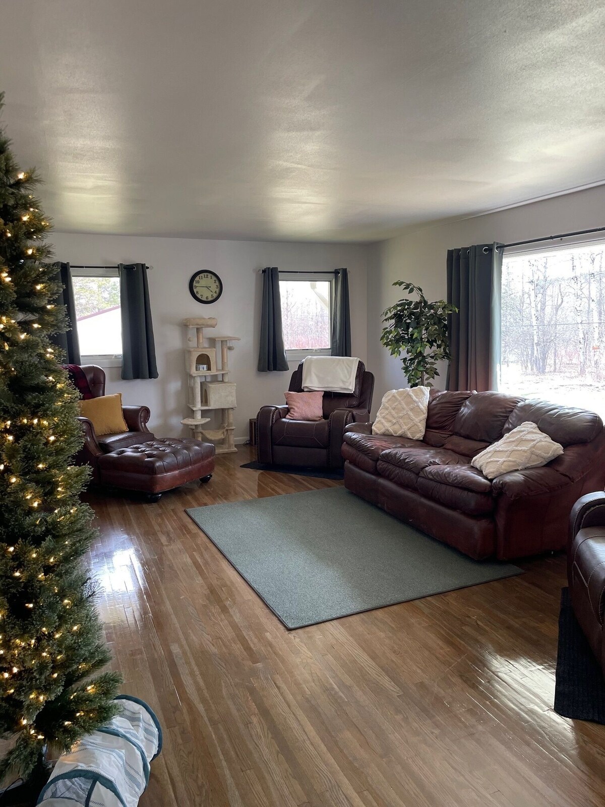 Majoittajan profiilikuva