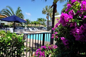 Property grounds - "Haven": Pool, Free Bikes & Walk to the Beach (Palm Beach Shores)