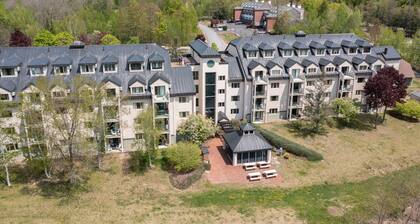 Riverside Penthouse Condo