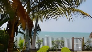 Un sentier menant à une plage bordée de palmiers et délimitée par une clôture.