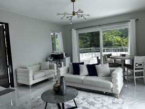 Smart TV, fireplace, books