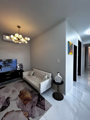 Smart TV, fireplace, books