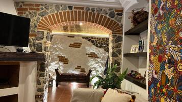 Smart TV, fireplace, books, music library