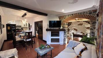 Smart TV, fireplace, books, music library