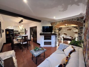 Smart TV, fireplace, books, music library