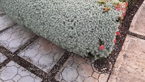 En trädgård med geometriskt formklippta häckar och en vattendekoration.