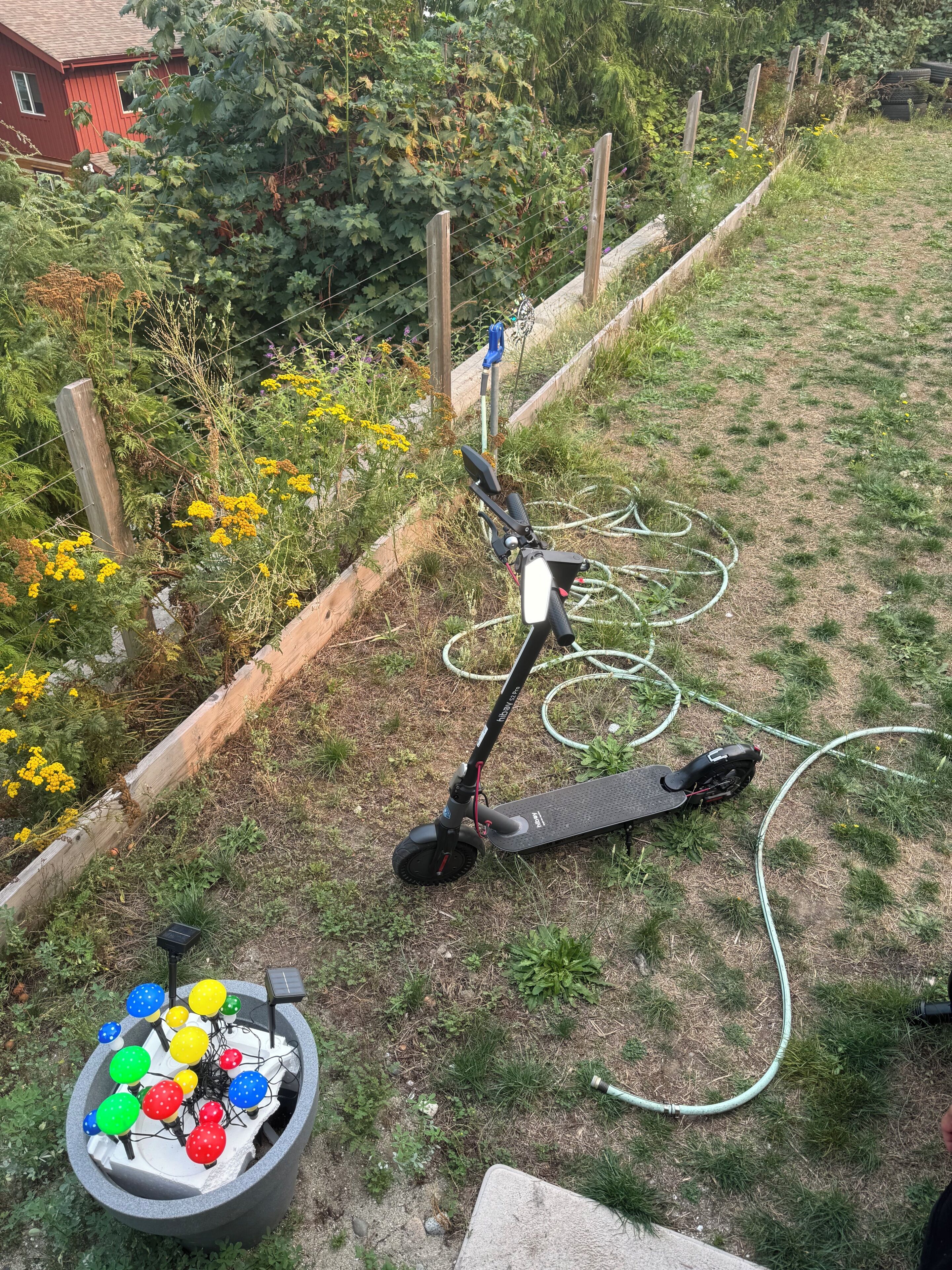 Un jardin avec une tondeuse à gazon, un tuyau d’arrosage et un récipient contenant des objets de différentes couleurs.