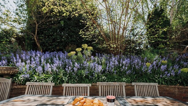 An outdoor dining area with a wooden table, benches, and a tray of croissants.