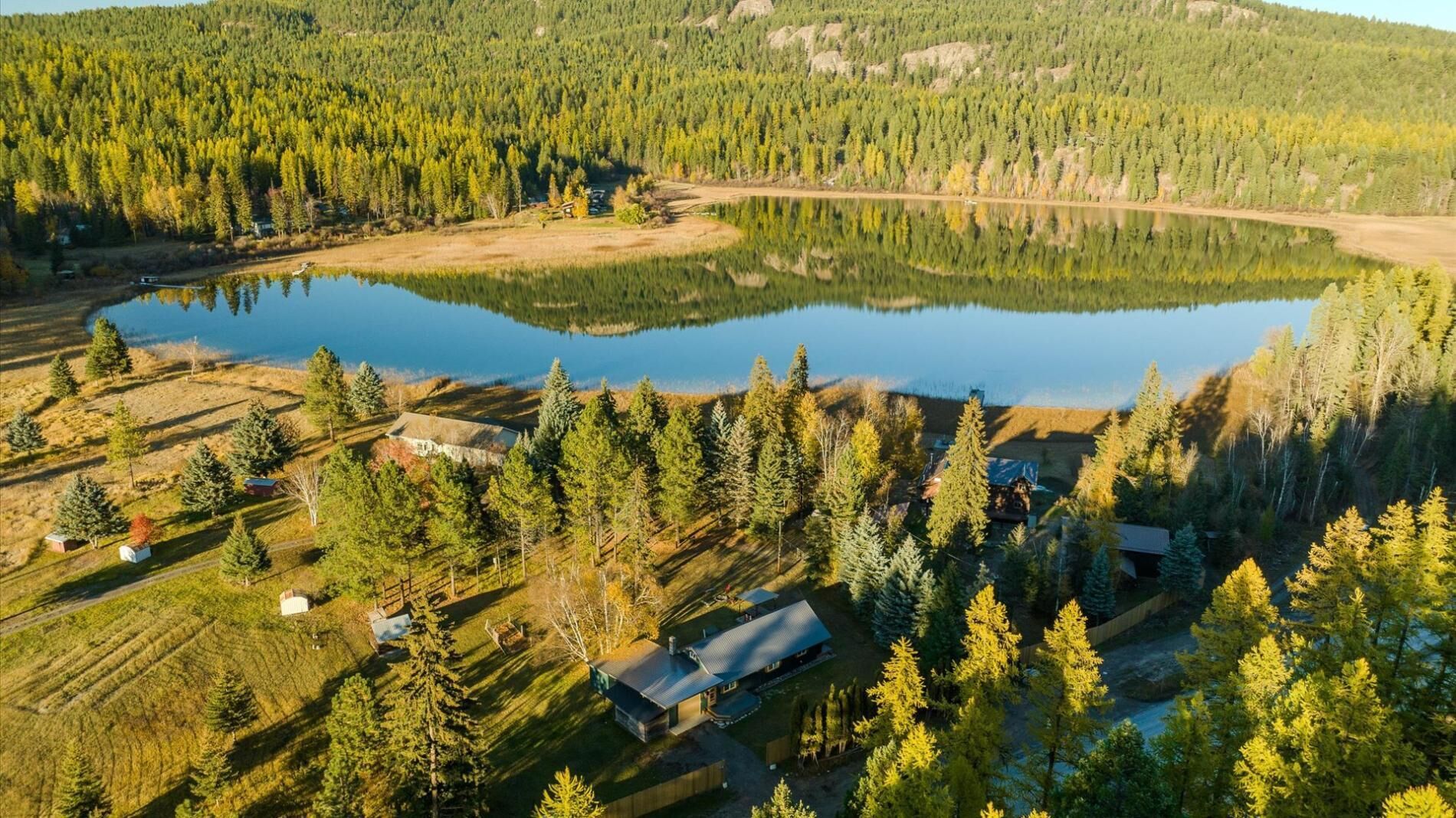 A lakeside property with cabins, a large pond, and dense forest.
