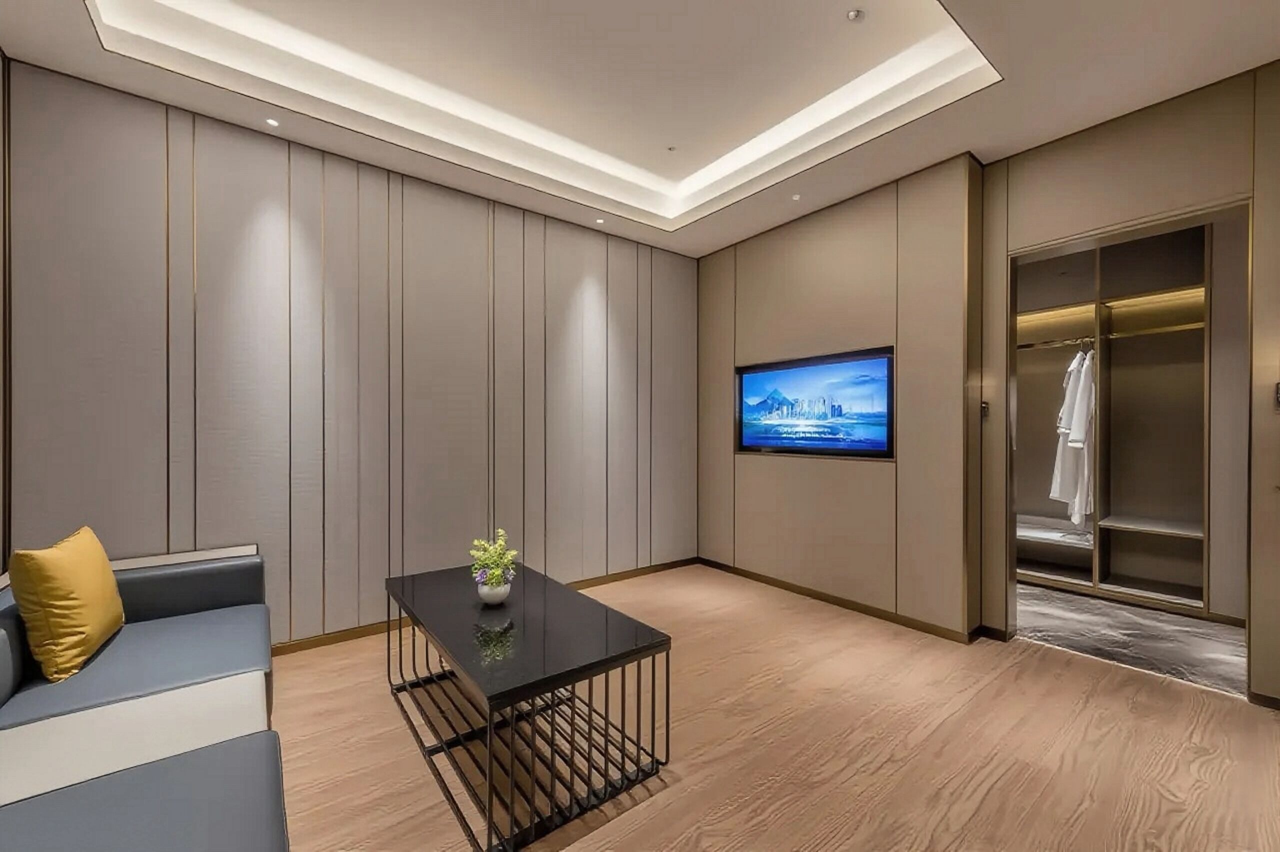 A modern hotel room with a sofa, a coffee table with a plant, a flat-screen TV mounted on the wall, and a walk-in closet.