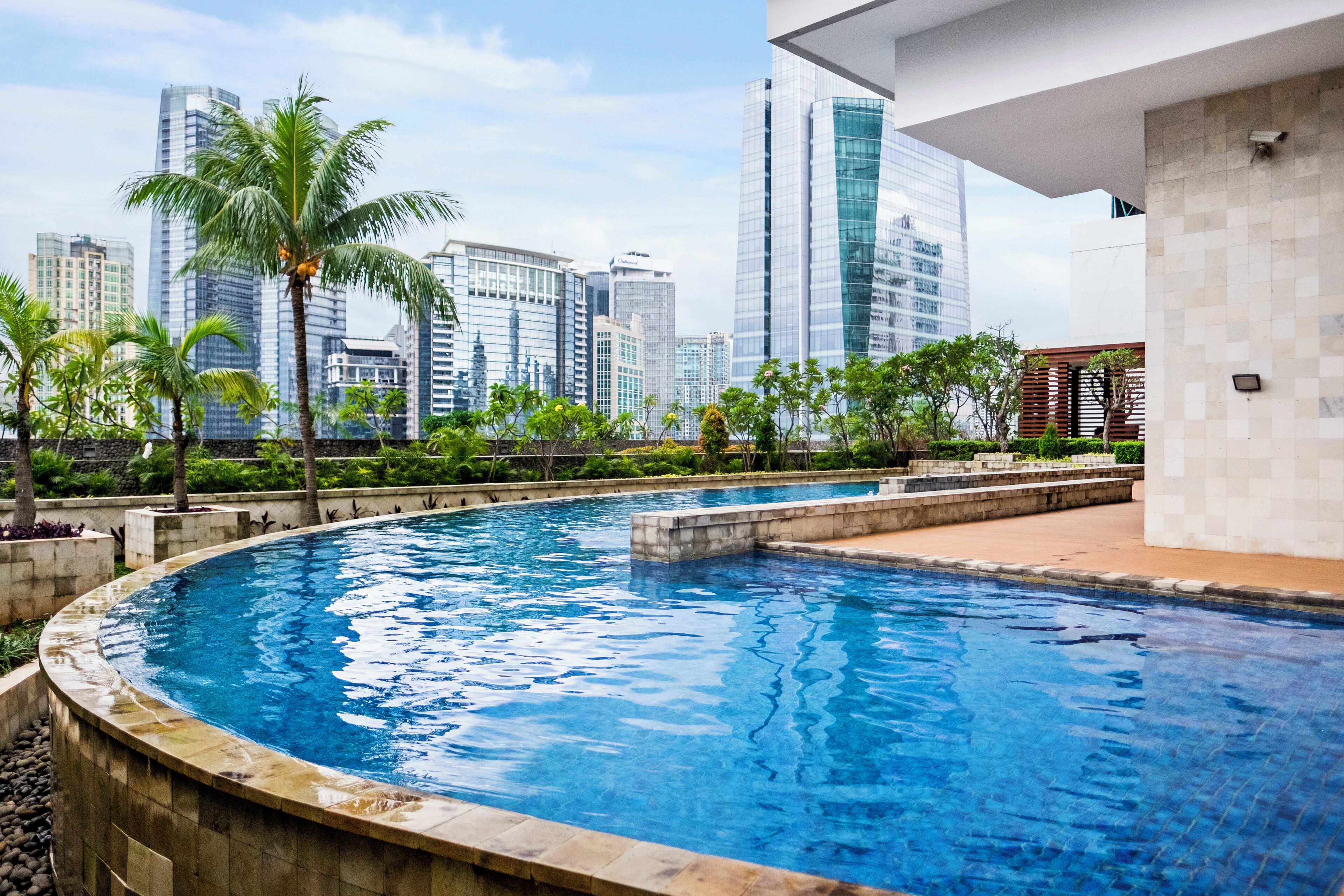 A swimming pool with a cityscape view, surrounded by palm trees and modern buildings.