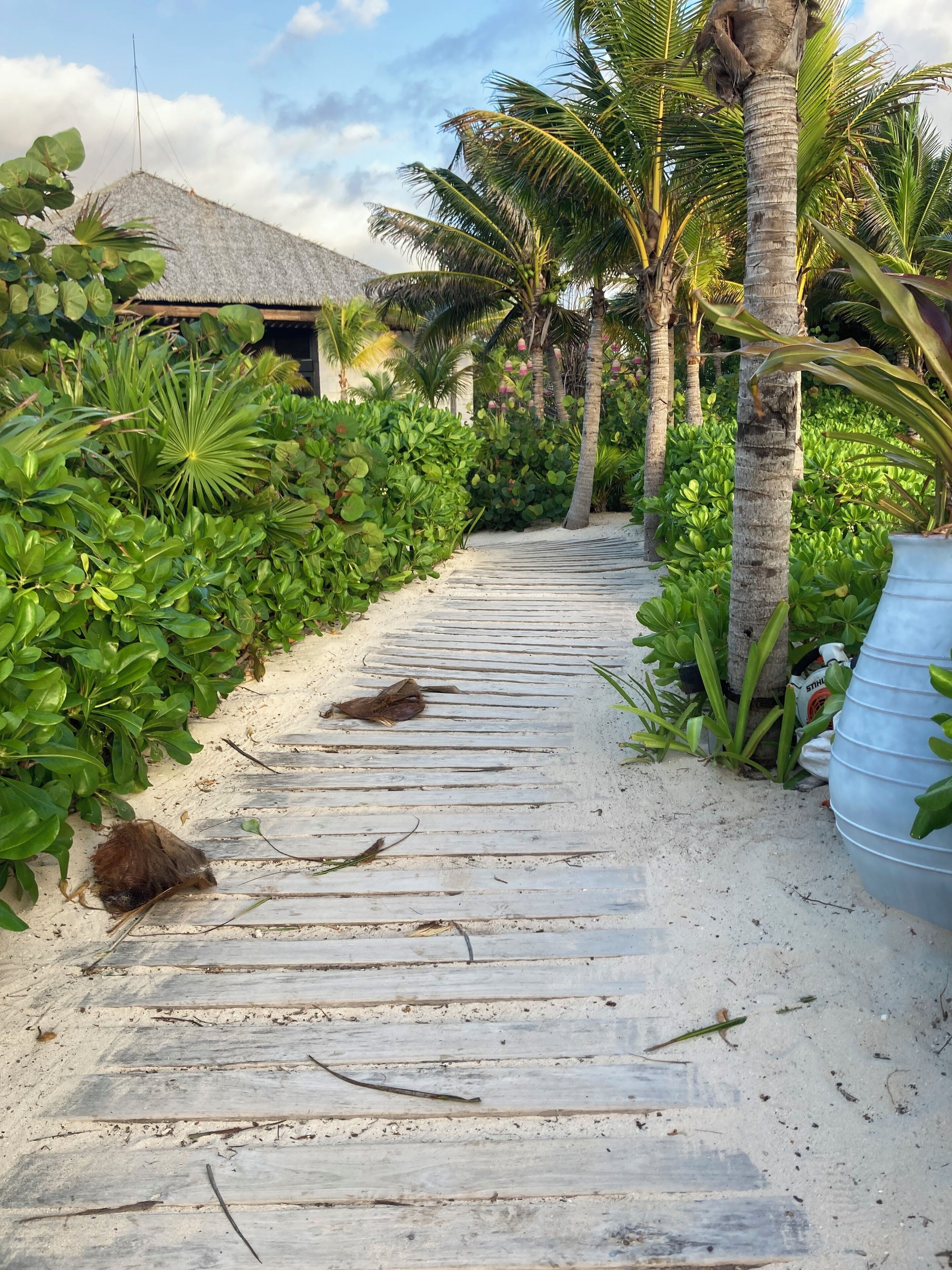 المنطقة المحيطة بالمنشأة