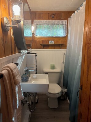 Hair dryer, towels, soap, toilet paper