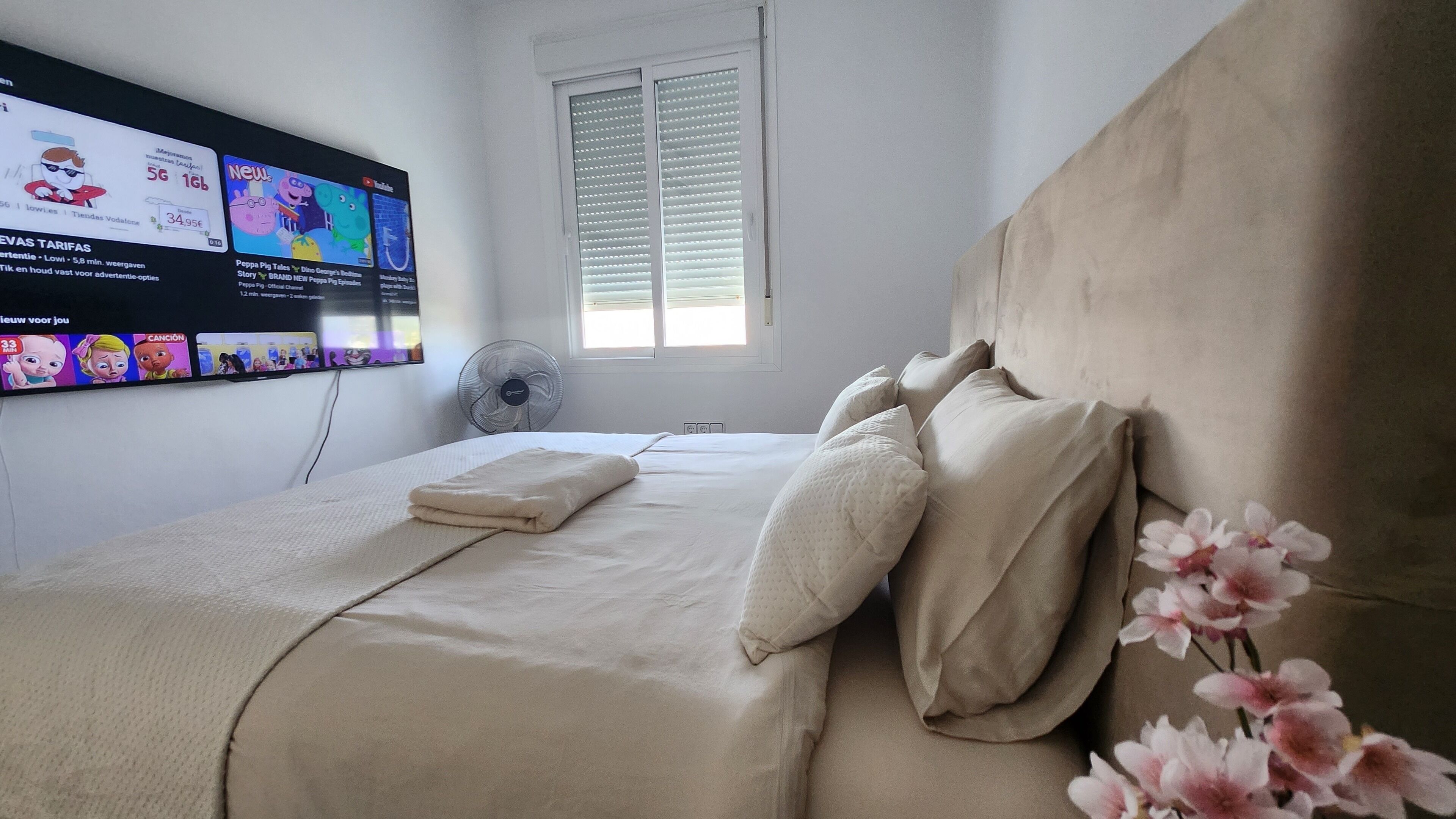 WiFi, bed sheets