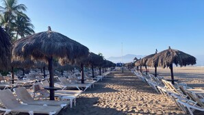 A beach with rows of sun loungers and thatched umbrellas, a clear sky, and palm trees.