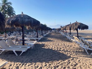 Une plage bordée de rangées de chaises longues et d’ombrelles en chaume.