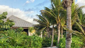A wooden pathway leading to a thatched-roof structure surrounded by lush tropical vegetation.