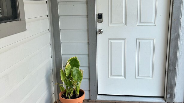 Een witte deur met een sleutelgat en een kleine potplant op een houten veranda.