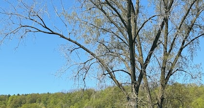 Grand River Cottage in Cambridge
