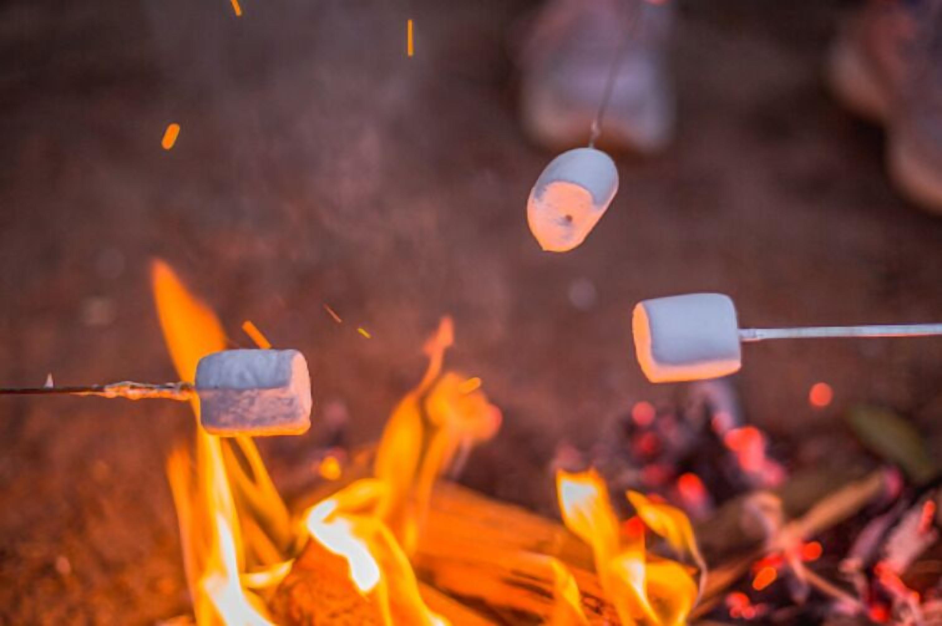 Een kampvuur met marshmallows die geroosterd worden.