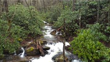 Un ruisseau de forêt, avec des rochers et des arbres.