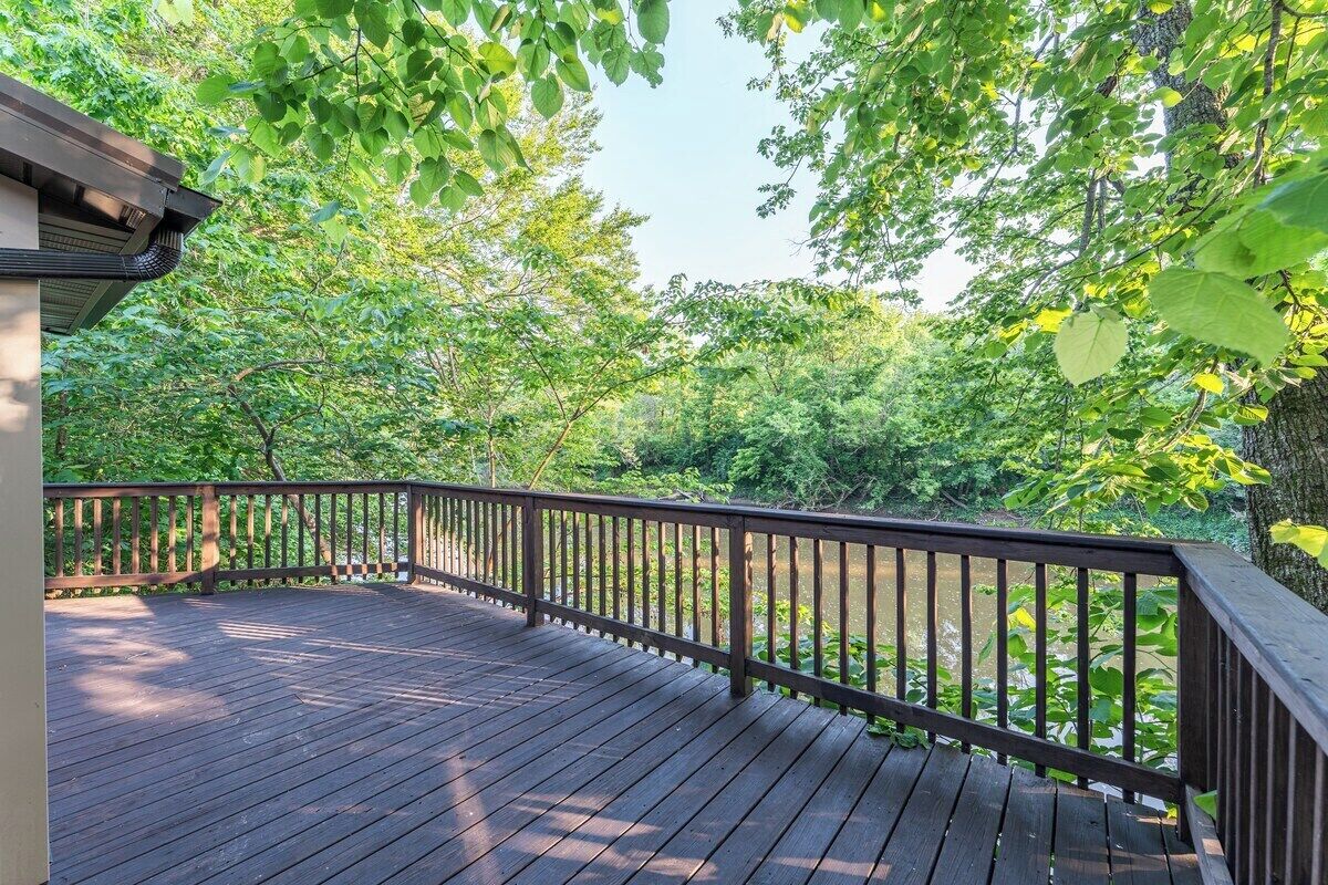 A wooden deck with a railing, surrounded by dense green foliage.