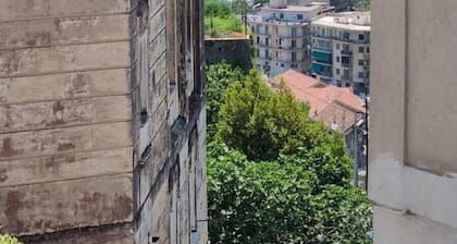 B&B Le Maioliche