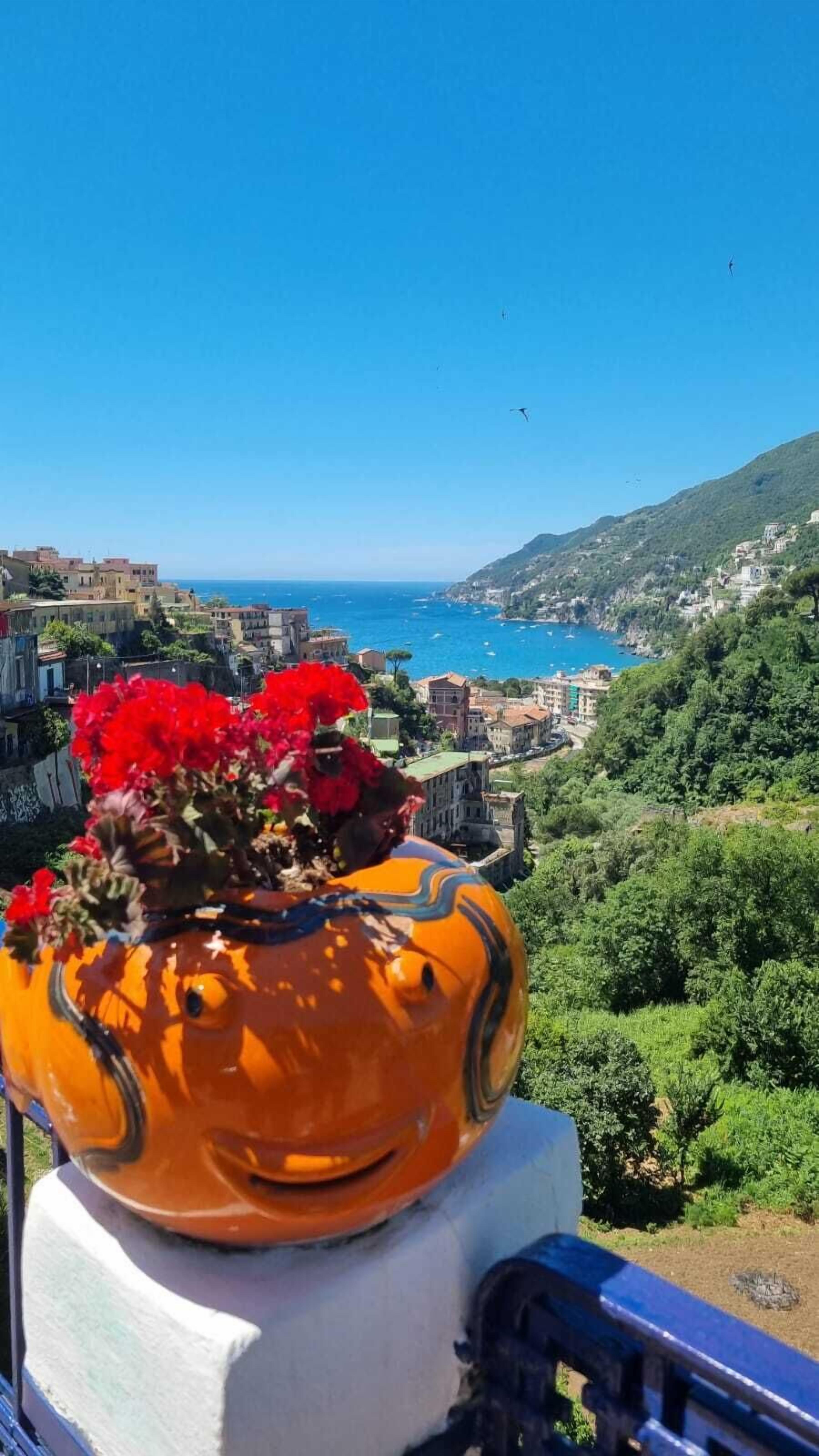 A potted plant with red flowers on a balcony overlooking a coastal town with buildings and greenery.