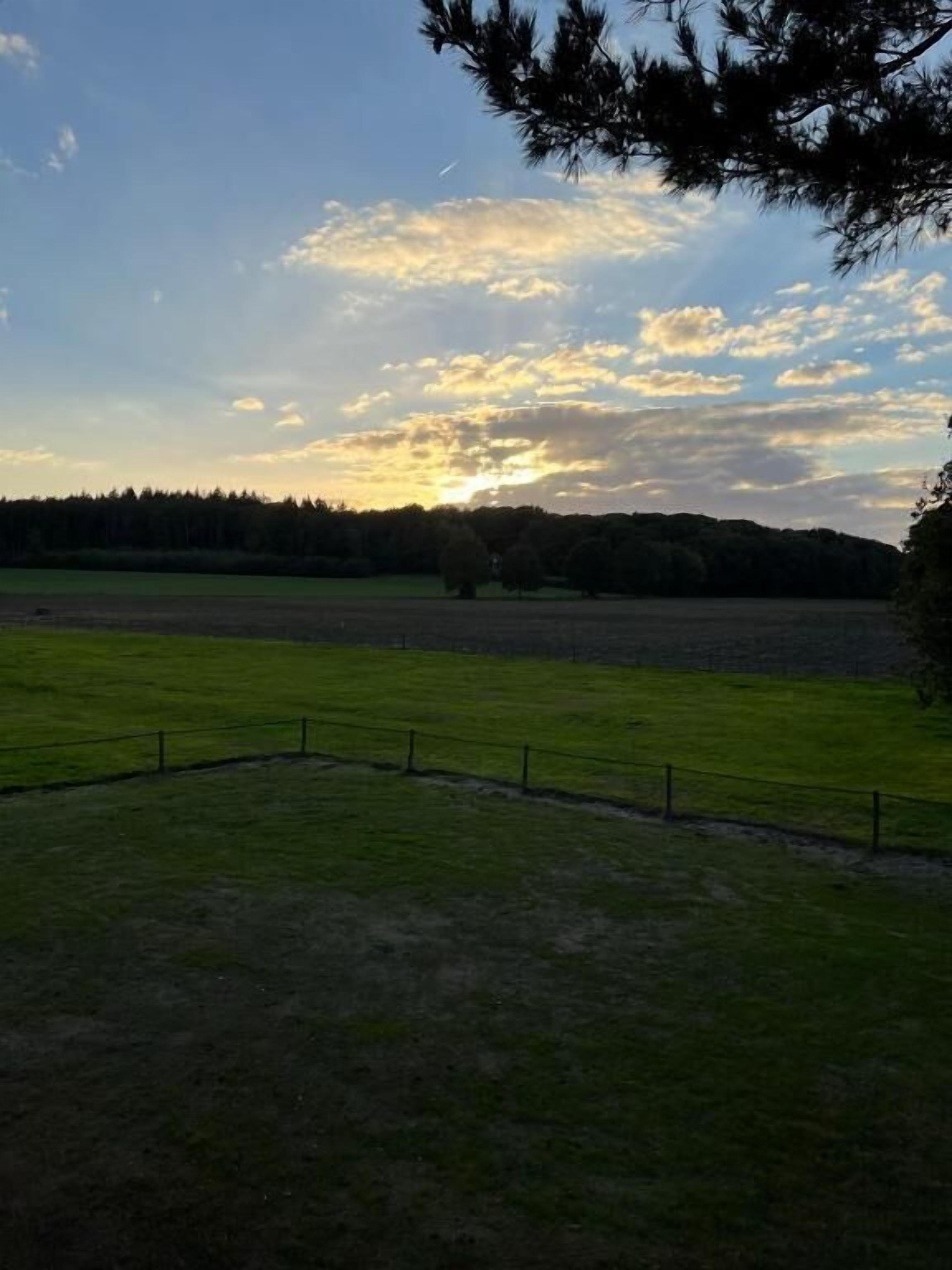 Un campo cubierto de hierba con una valla y árboles al fondo.