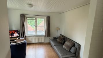 A spacious room with a wooden floor, a grey sofa, a dark blue chair, and a window with curtains.
