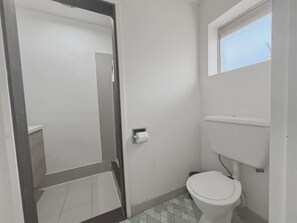 Baño con inodoro, rollo de papel higiénico y ventana.