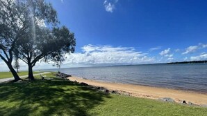 Ein Strand mit einer Rasenfläche, einem Weg und einem großen Baum.