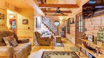 TV, fireplace, books