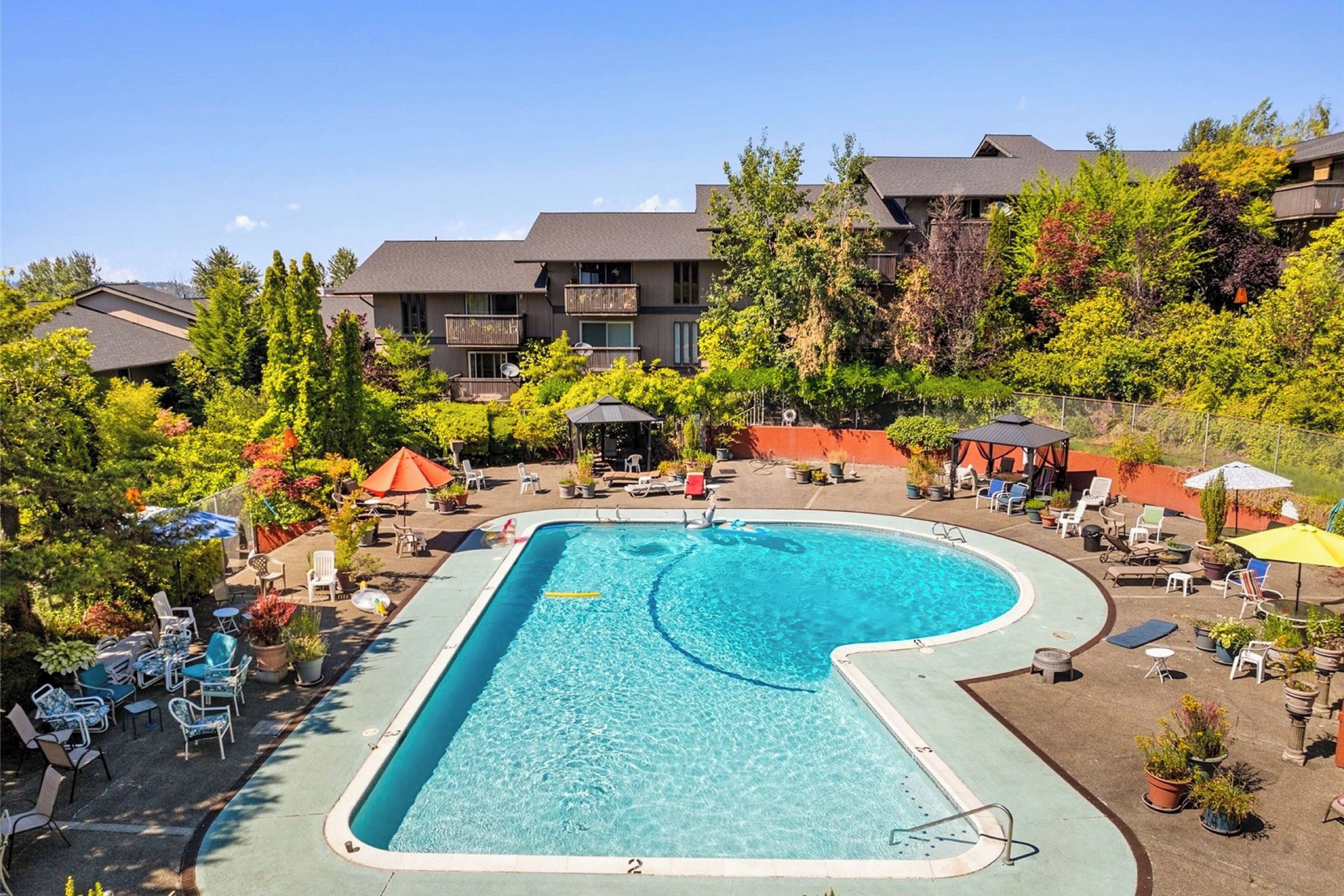 A swimming pool with lounge chairs and umbrellas, surrounded by trees and buildings.