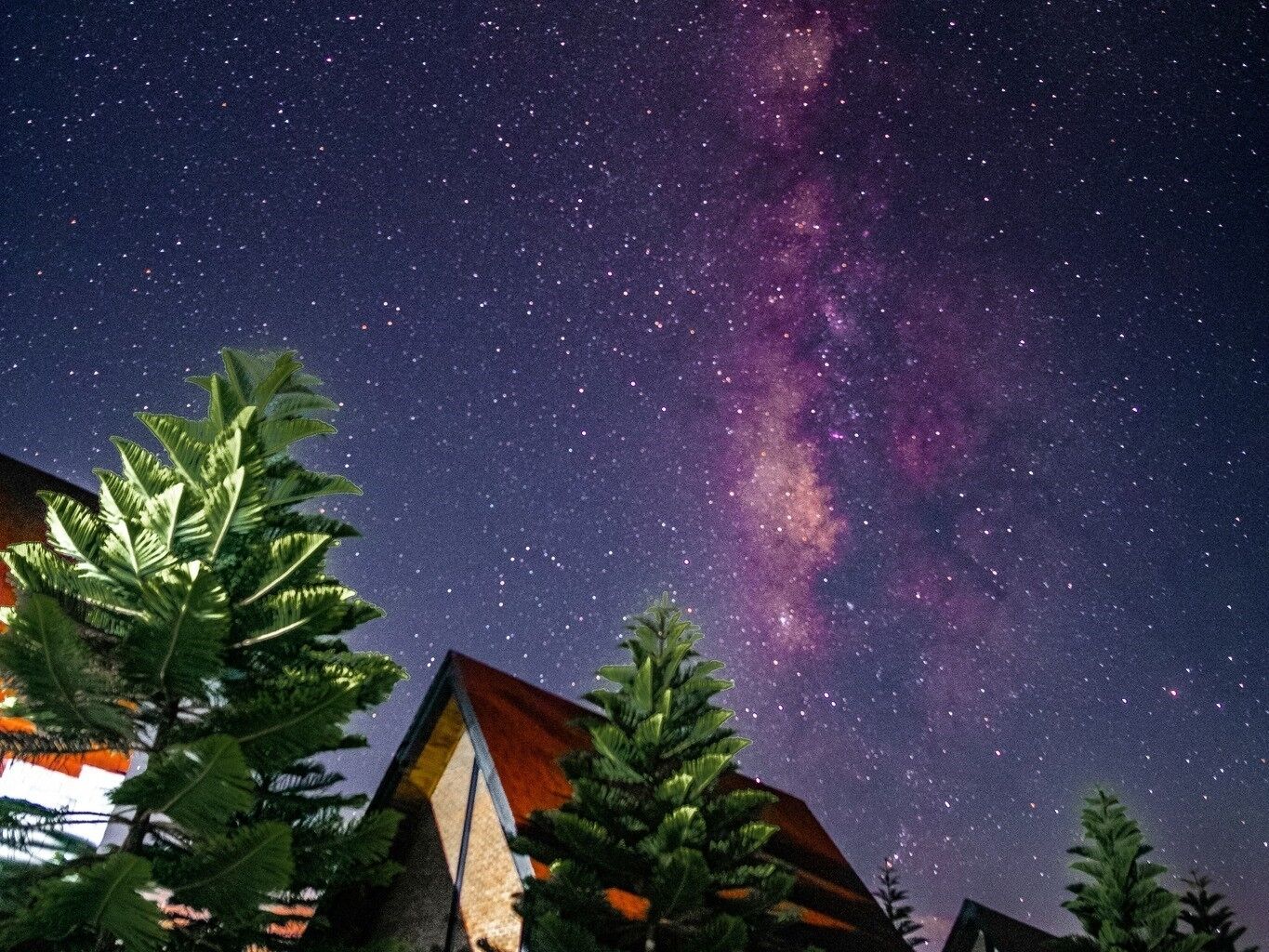 Cielo nocturno con estrellas y la Vía Láctea visible sobre una zona residencial con casas y árboles.