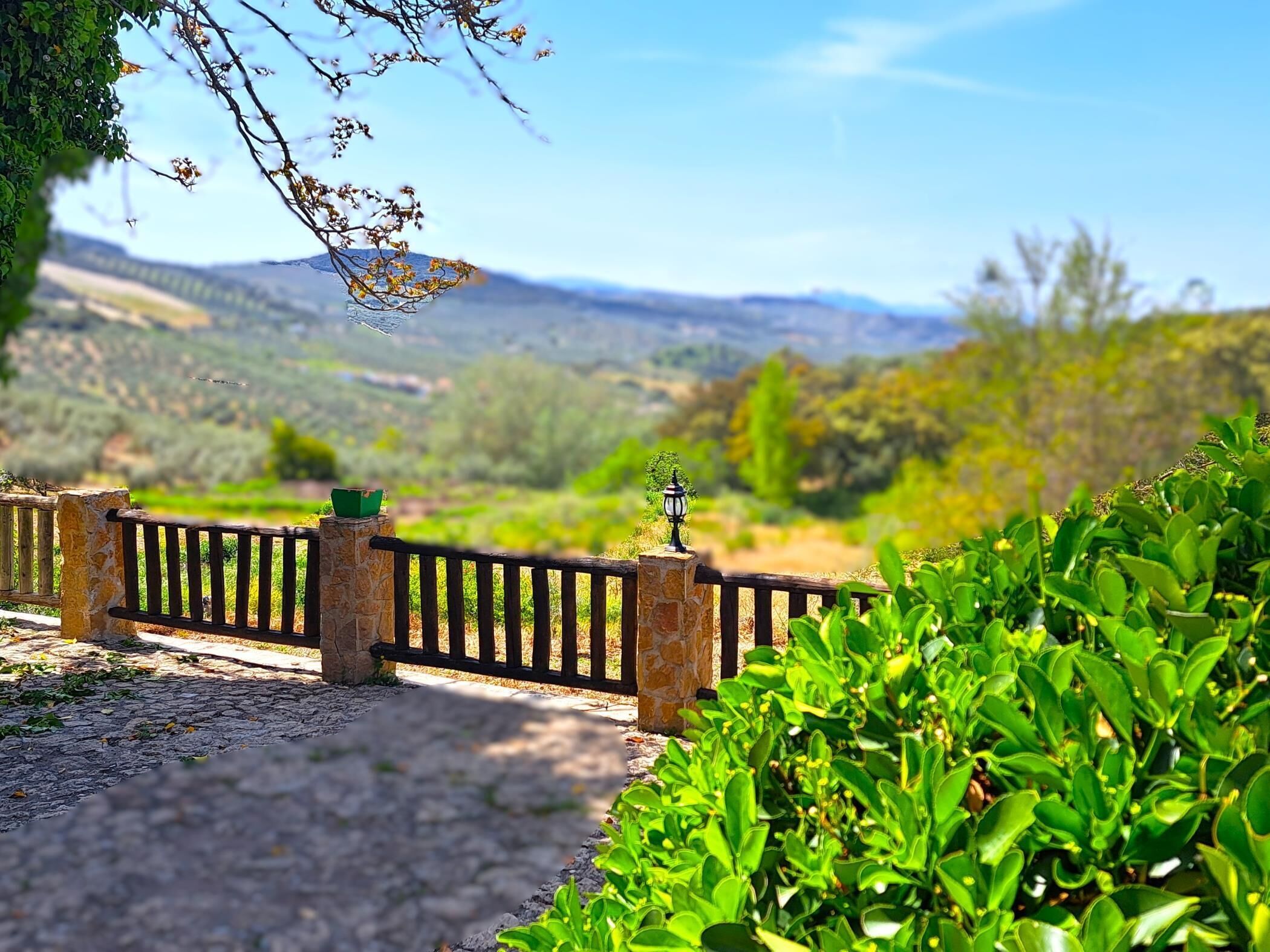 A stone pathway leading to a gate with a lamp post, surrounded by lush greenery and a mountainous backdrop.