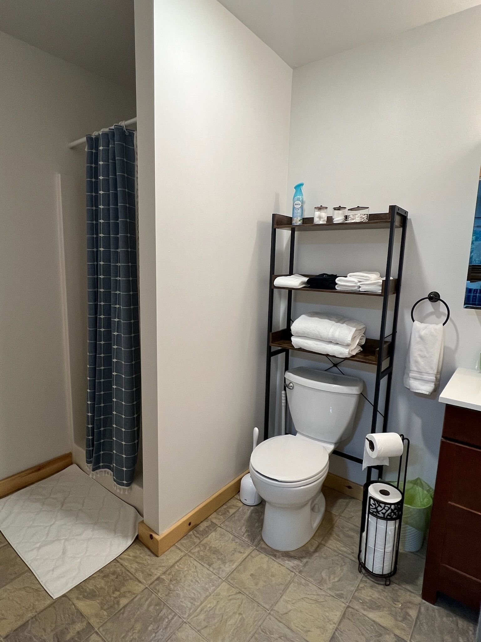 A bathroom with a toilet, a shelf with toiletries, a towel rack, and a shower curtain.