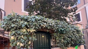 A gated entrance with a green door, a scooter parked nearby, and a building with a pink facade. - APARTMENT WITH A PRIVATE PATIO NEAR ST. PETER'S (Roma)