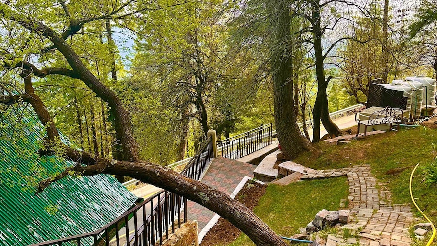 Pasha Nova