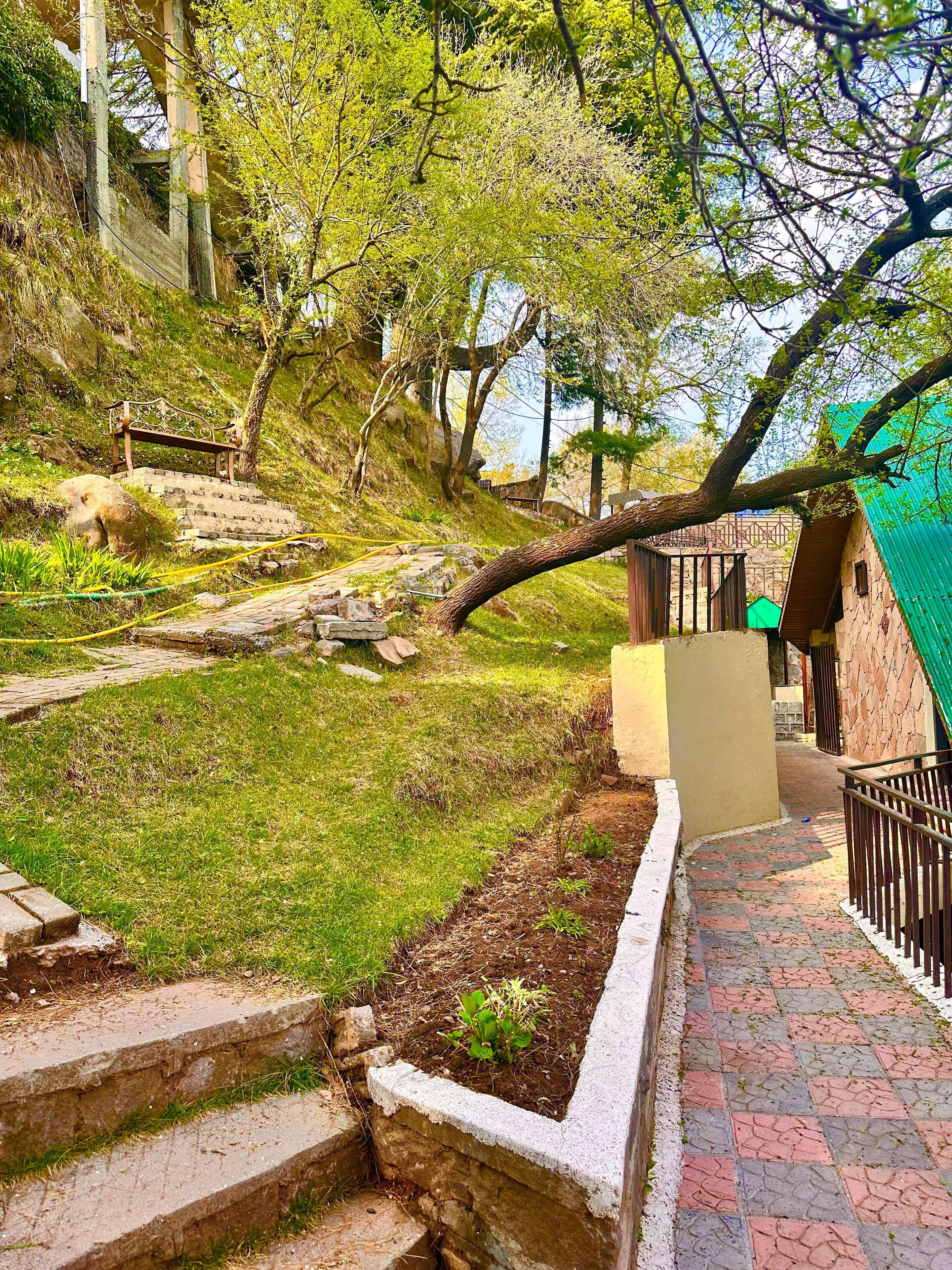 Taman